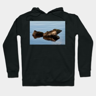 Rocks and Reflection, Bayfront Park Hoodie